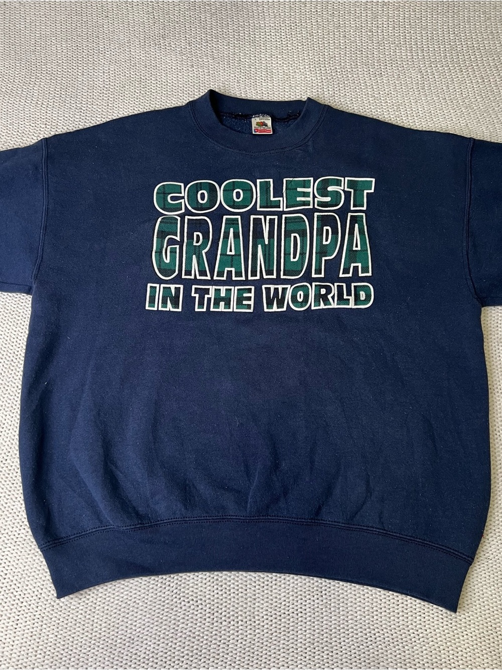 Fruit of the Loom Navy Crewneck Sweatshirt with Green Graphic